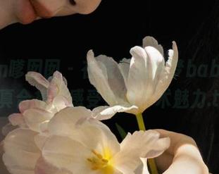 Feilin嗲囡囡 – 在线畅游M梦baby美脚写真合集，感受她的艺术魅力.txt