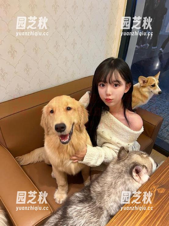 Feilin嗲囡囡 - 就是阿朱啊JK写真全集下载，解锁她的独特魅力，瞬间成为你的壁纸女神！.txt