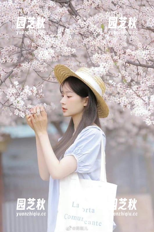 QingDouKe青豆客 - 吕梦玉旗袍之美合集，精选壁纸展现多样风格.txt
