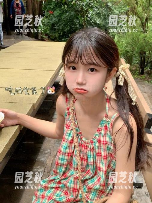 QingDouKe青豆客 - 黄歆苑chobits婚纱写真的搞笑之旅：图包给你带来欢笑神器！.txt