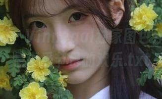 甜蜜圣诞！Vinnegal独家图包分享，尽情享受节日的欢乐.txt