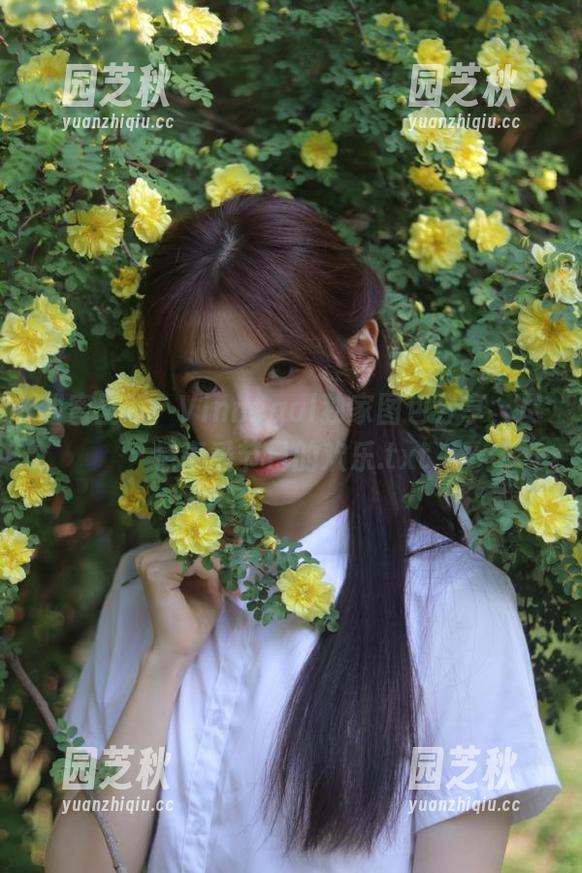 甜蜜圣诞！Vinnegal独家图包分享，尽情享受节日的欢乐.txt