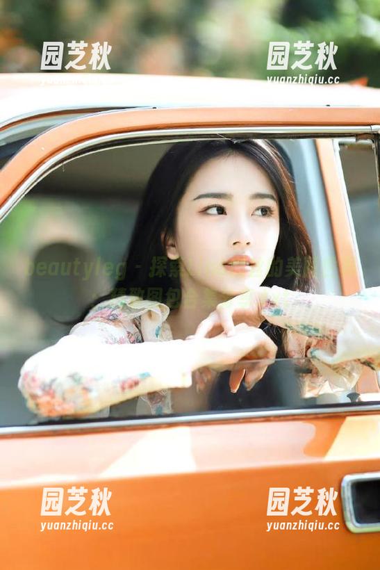 beautyleg - 探索Lina肉丝的美丽世界：精致图包合集分享.txt