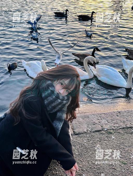 beautyleg - Queenie学姐写真集：每张图片都让人心动不已！.txt