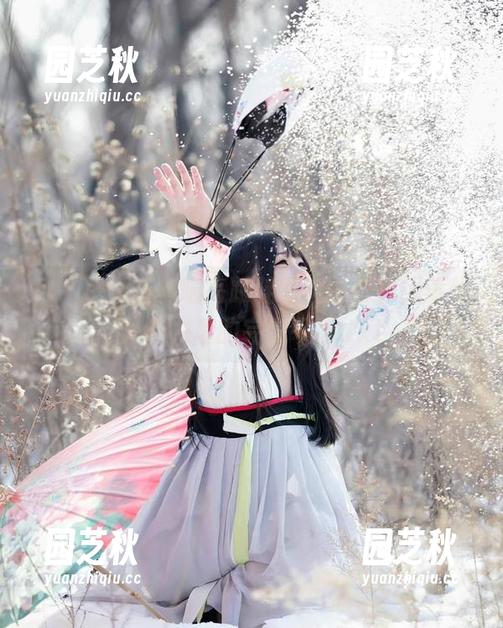nagesa魔物喵高跟鞋私房图包，探索优雅与力量的完美平衡.txt