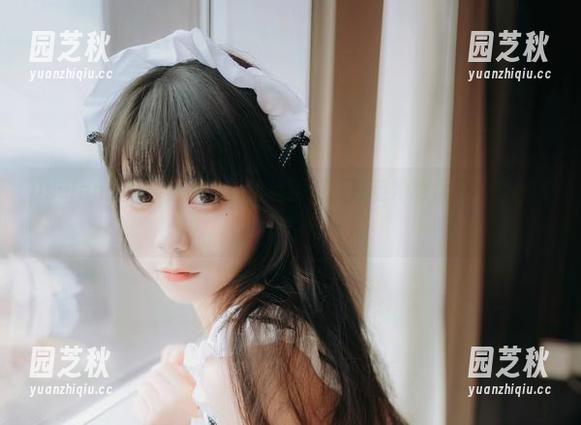 usejan蓝蓝修女的独特写真图册：感受她的优雅与神秘气息.txt