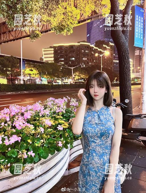 一小央泽花嫁写真作品，下载后领略梦幻般的艺术之美.txt