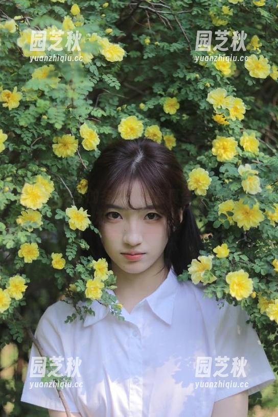 丽柜 - 韩雪的冬日私房写真合集：圣诞魅力无处不在.txt