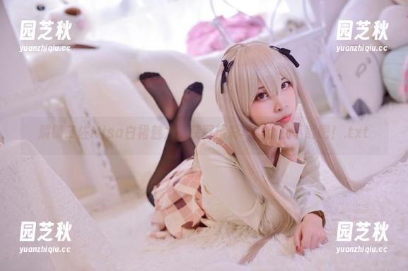 解锁二佐Nisa白裙魅力，获取精彩写真作品下载吧！.txt