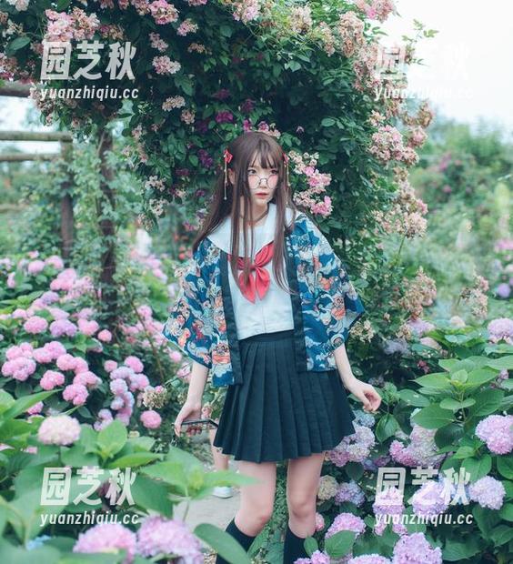 追寻五更百鬼眼镜的高清图库，感知其写真作品中的神秘魅力.txt