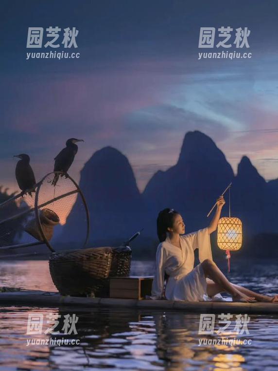 尽享兔玩映画带来的爱宕旗袍与saber经典写真作品高速下载.txt