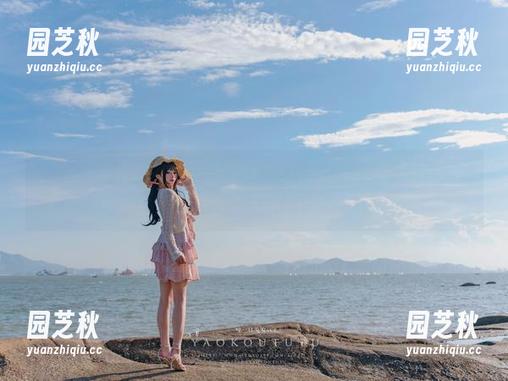 “咬人小小兔”的和服写真集资源，甜美萌动的视觉冲击来了！.txt