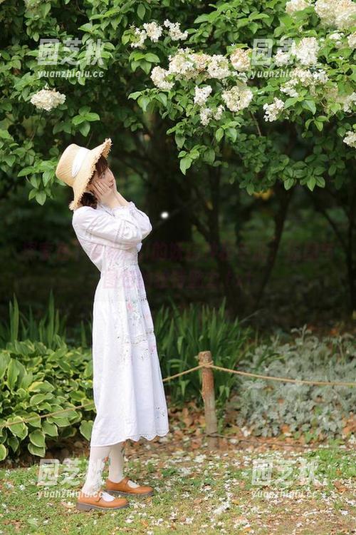 探索在下萝莉控ii的妖精种植手册：原图与图包的独特魅力.txt