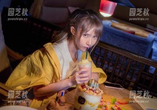 在下萝莉控ii定制写真：揭秘魔王路易九世背后的故事与风采.txt