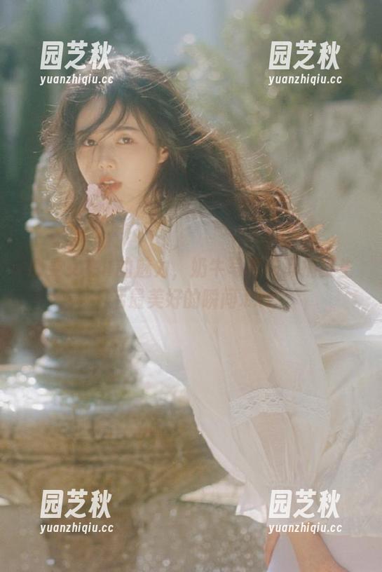 感受女主K的魅力，奶牛写真作品捕捉生活最美好的瞬间.txt
