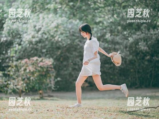 探索木绵绵OwO的黑贞德水手服主题，精美图片精选带你领略无尽魅力！.txt