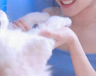 秀人网 – 谭小灵丝袜私拍作品分享，高清图片记录下每一份动人瞬间.txt