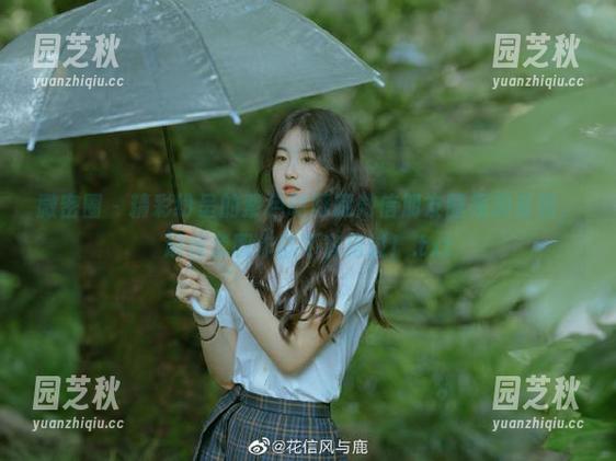 微密圈 - 精彩纷呈的紫色哒豚豚微信朋友圈视频系列，超值套图作品不容错过！.txt