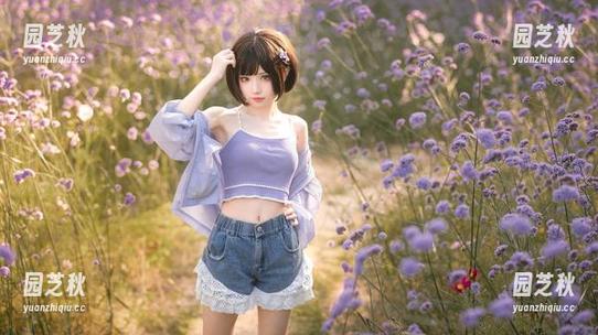 花柒Hana的女仆装COS图册，解锁萌趣与细腻之美.txt