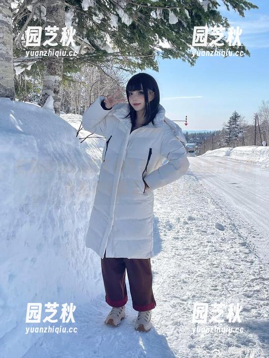 在菌烨tako的写真作品中，感受明日方舟卡涅利安的无穷魅力.txt