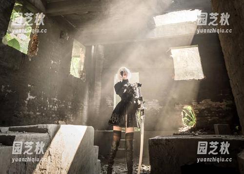 “菌烨tako姐姐”最新写真图包，带来惊艳作品与感动心灵的双重体验.txt