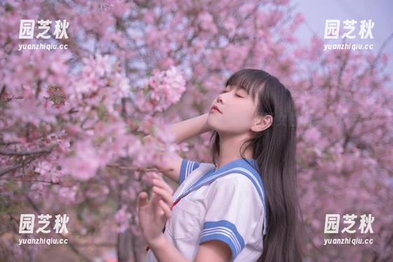 萌芽儿o0带你走进办公室：图包分享展现职场女性的自信风采.txt