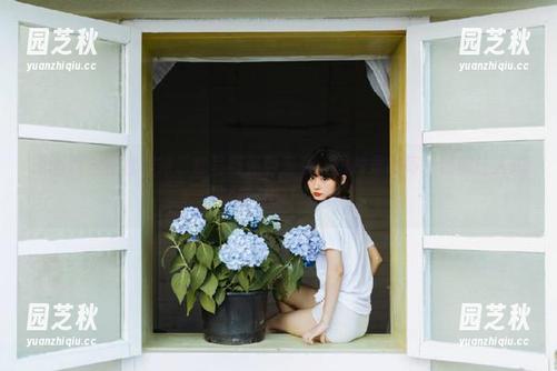 语画界 - 程程程第二套写真强势来袭，图片里的每一帧都让人想多看几眼！.txt