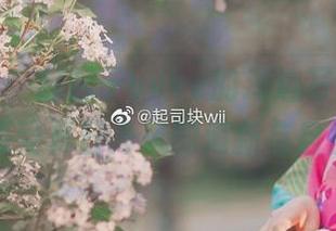 网盘精选：起起子vvvv的海边写真合集，带你感受夏日海风的清新与自由.txt