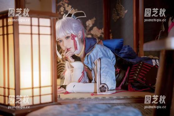 追寻艺术的足迹，“阿包也是兔娘教室”最新写真合集重磅发布，立即下载，一起探索美的无限可能！.txt
