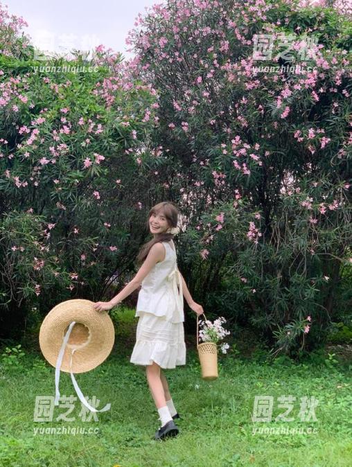 风之领域：邻家黑丝清新女孩的阳光气息，打造完美图片与原图定格瞬间！.txt