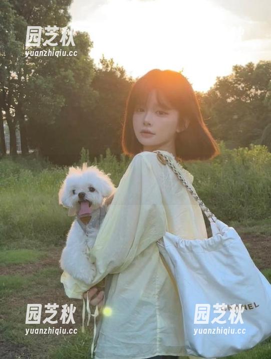 魅妍社 - 舞媚歆最新浴缸写真：极致优雅的照片展现她的魅力.txt